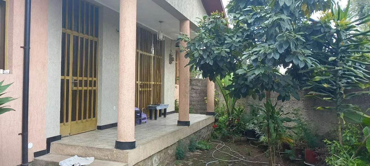 Old Villa House for Sale Hillside – photo 6