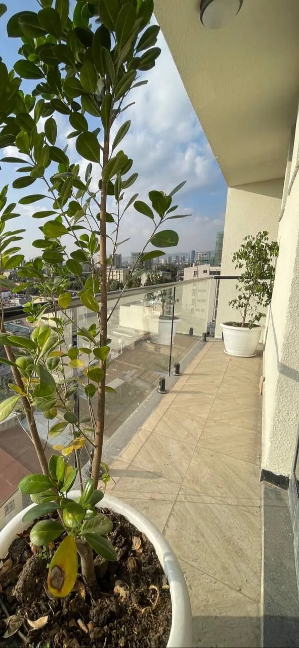 2 Bedroom Apartment in Kera – photo 7