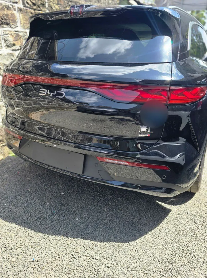 BYD Tang-L Exclusive 2025 – photo 3
