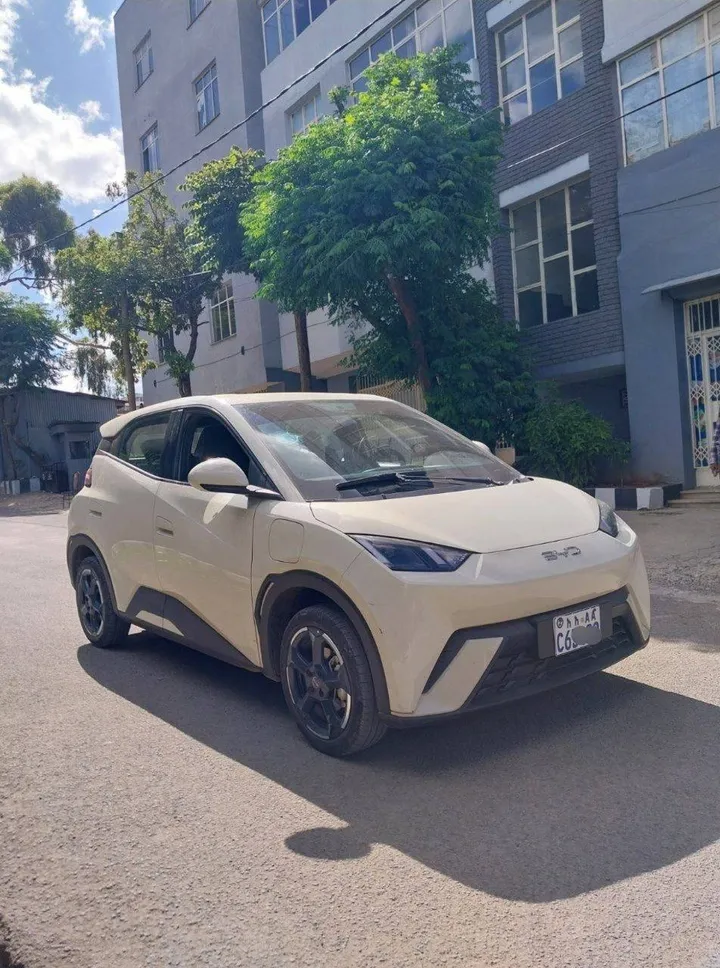 BYD Seagull 2024 Electric Cream – photo 7