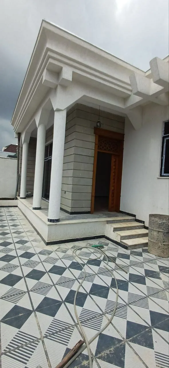 ዘመናዊ ቪላ ቤት አያት 225 ካሬ – photo 8