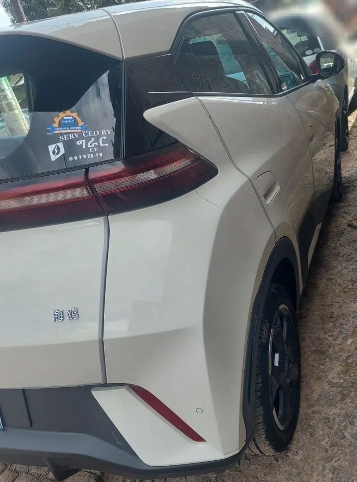 BYD Seagull 2024 Automatic – photo 4