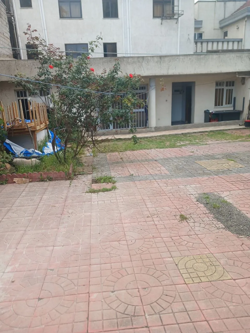 አስቸኳይ የሚሸጥ ቤት ሰሚት 250 ካሬ – photo 5
