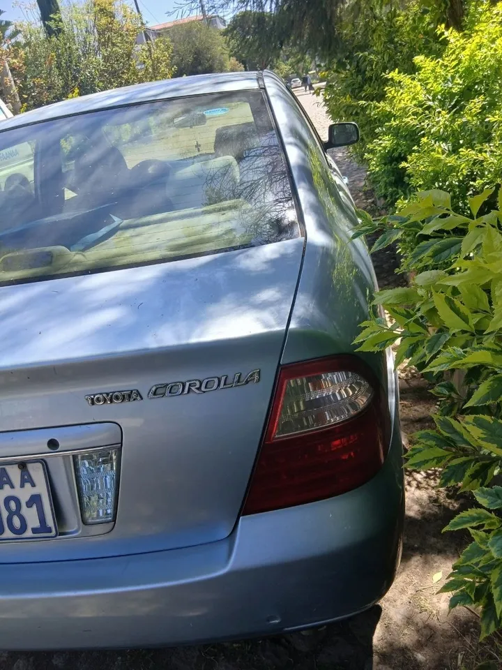 Toyota Corolla 2006 Automatic Sedan – photo 3