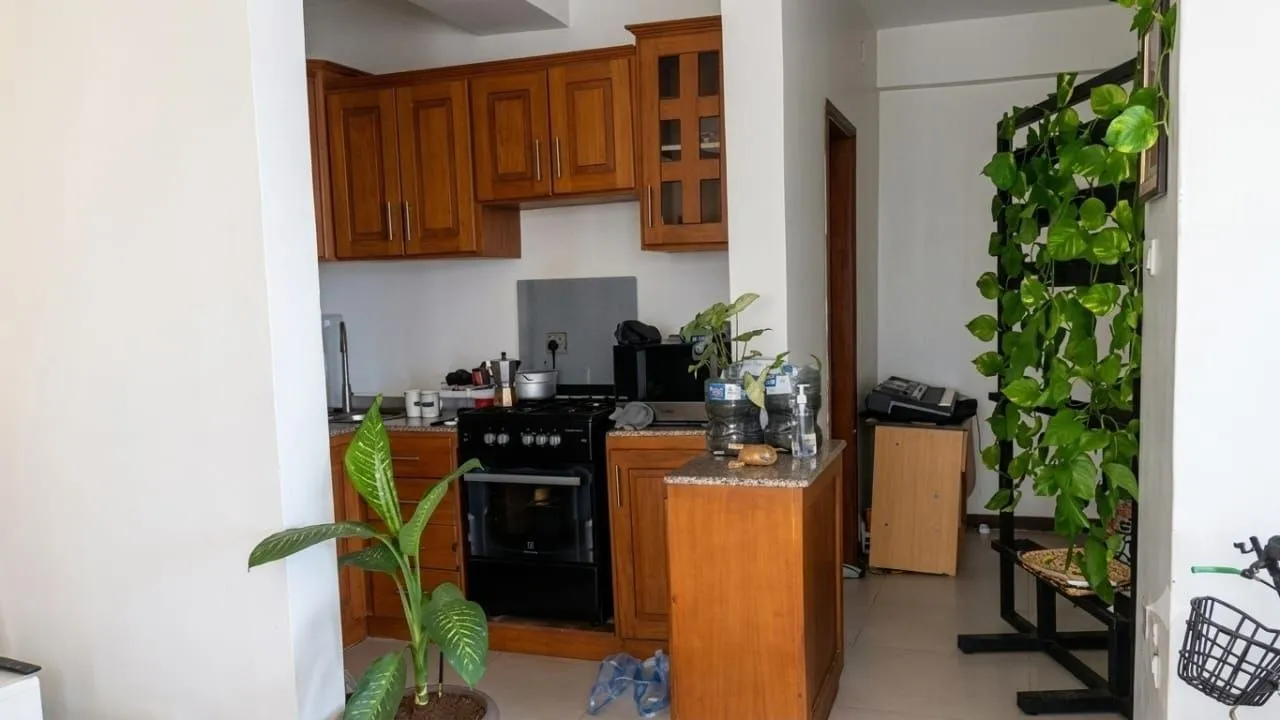 37.5 sqm Studio in Sunshine Compound – photo 4