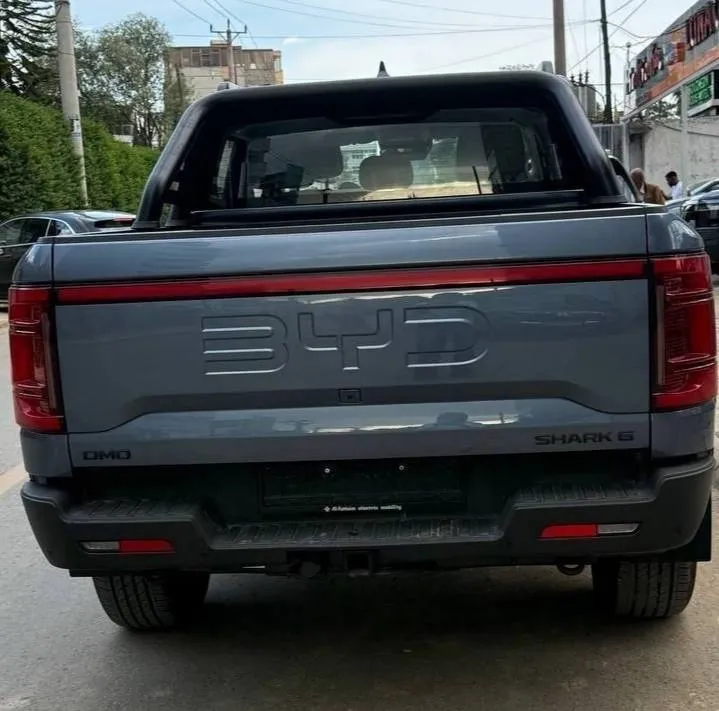 2025 BYD Shark 6 DMO Pickup – photo 8