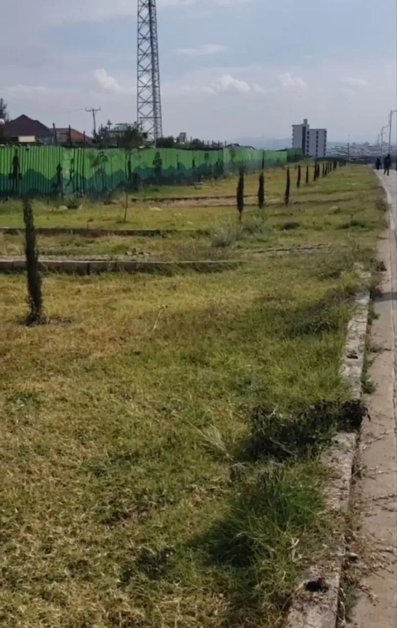 745 sqm Land for Sale in Ayat – photo 4