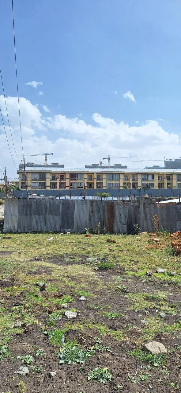 150 sqm Land for Sale Ayat – photo 5