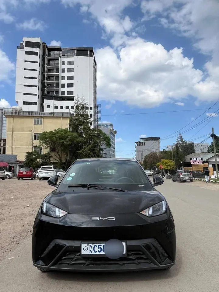 BYD Seagull 2024 Electric – photo 10