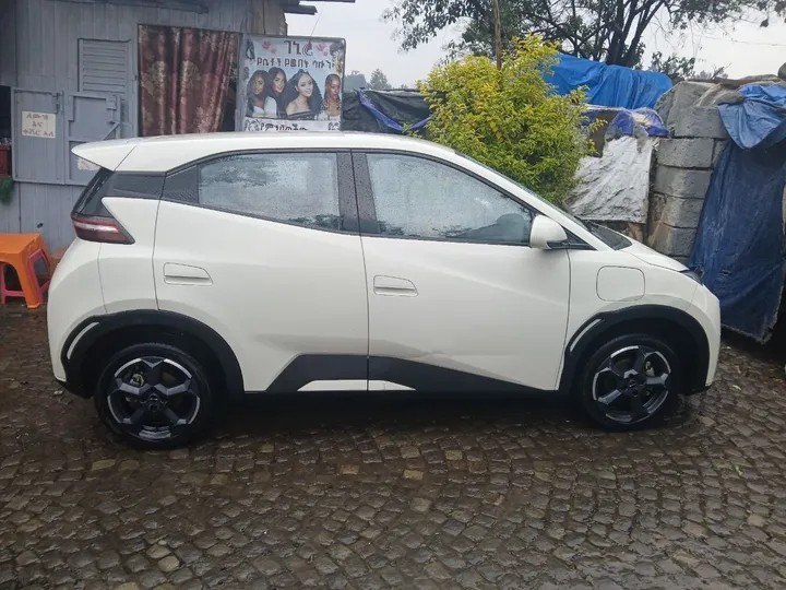 BYD Seagull 2024 Electric – photo 5