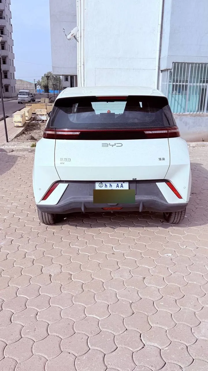 BYD Seagull 2024 – photo 3