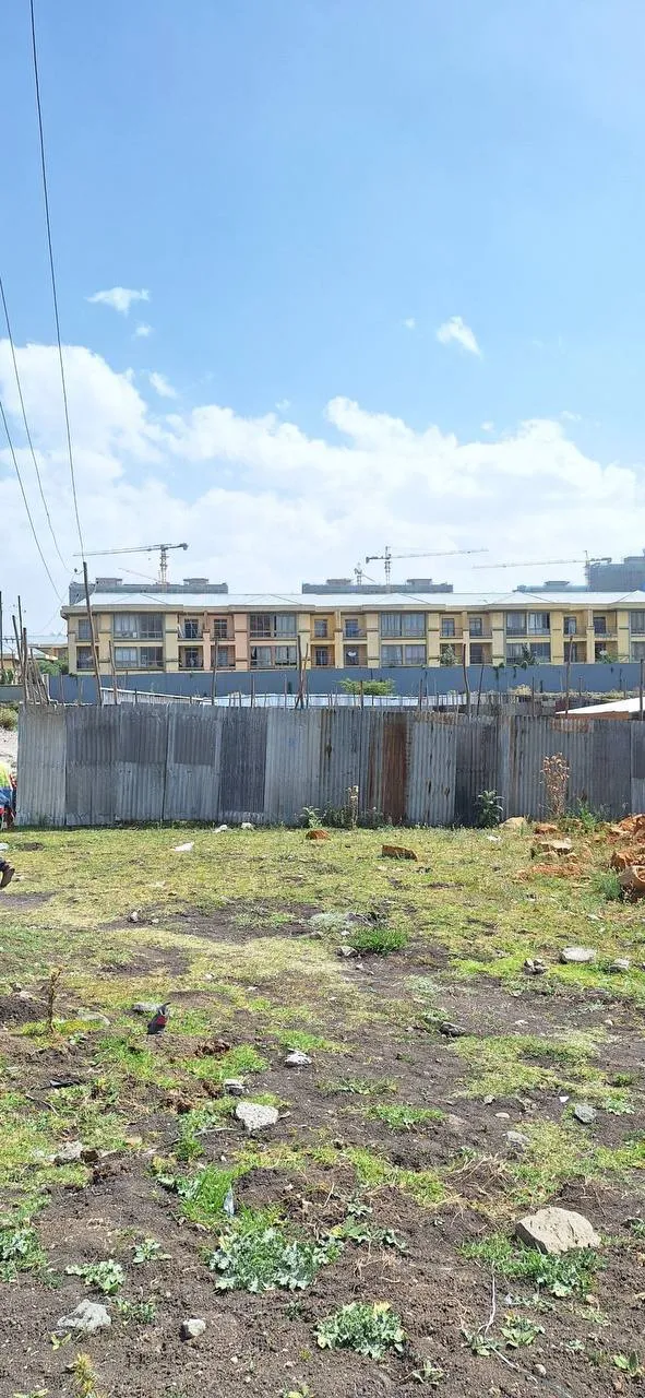 150 sqm Land for Sale Ayat – photo 4