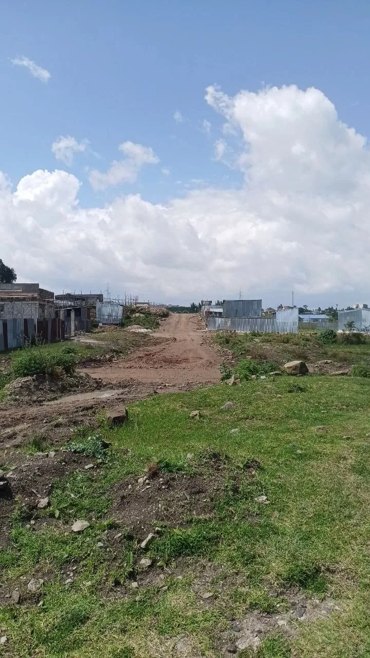 250 sqm Construction Land in Bole Arabssa – photo 3