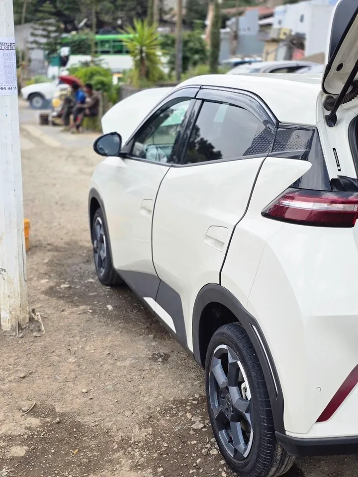 BYD Segull Electric 2024 – photo 3