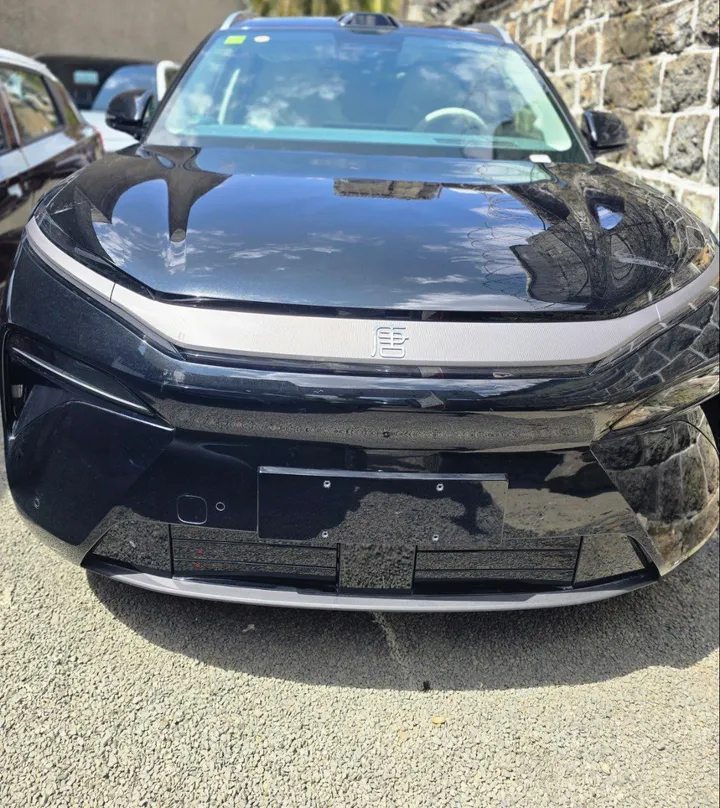 BYD Tang-L Exclusive 2025 – photo 4
