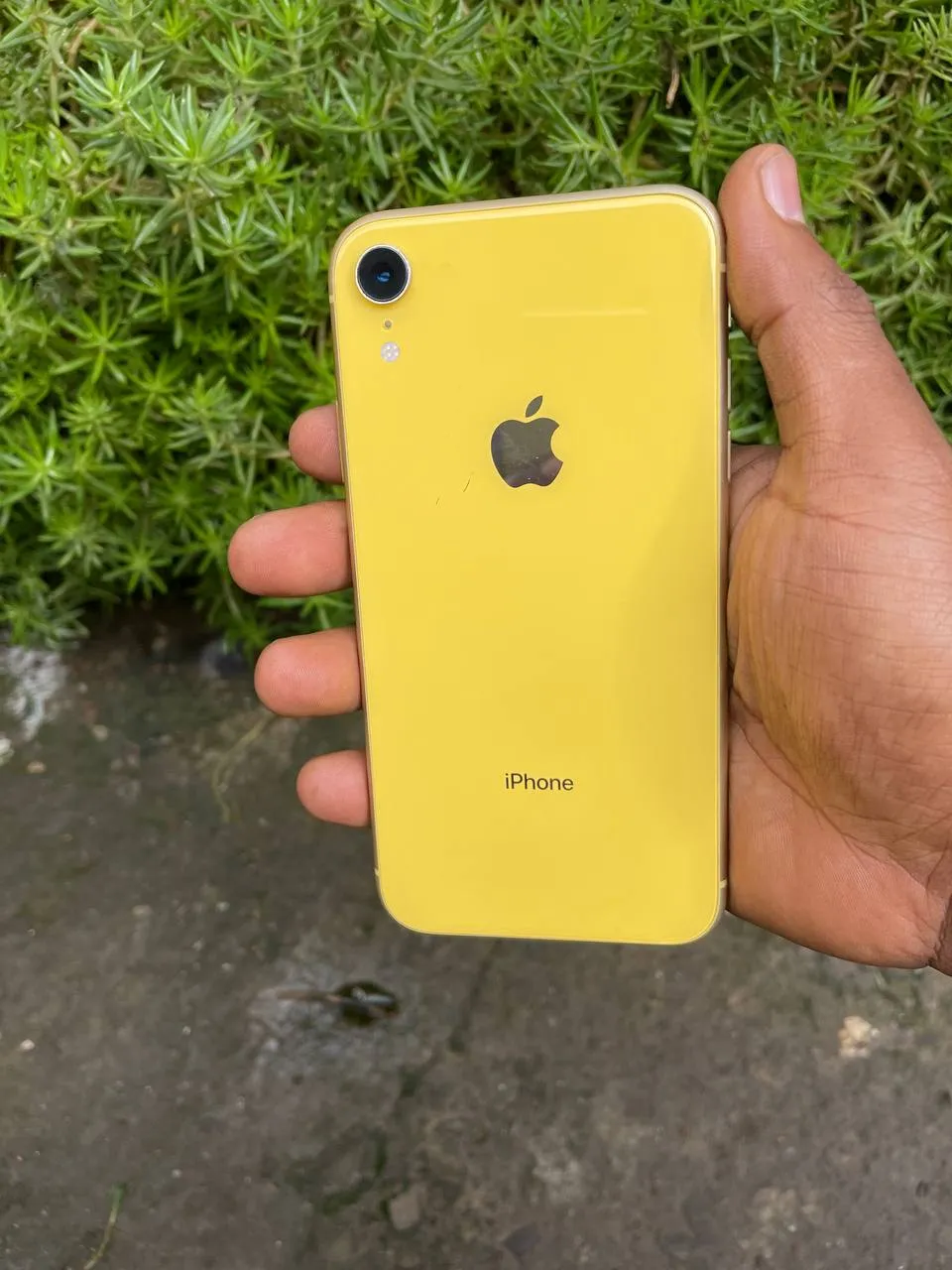 Apple iPhone XR 64GB Dual SIM – photo 7