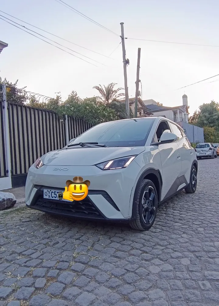 BYD Seagull 2024 Electric – photo 6