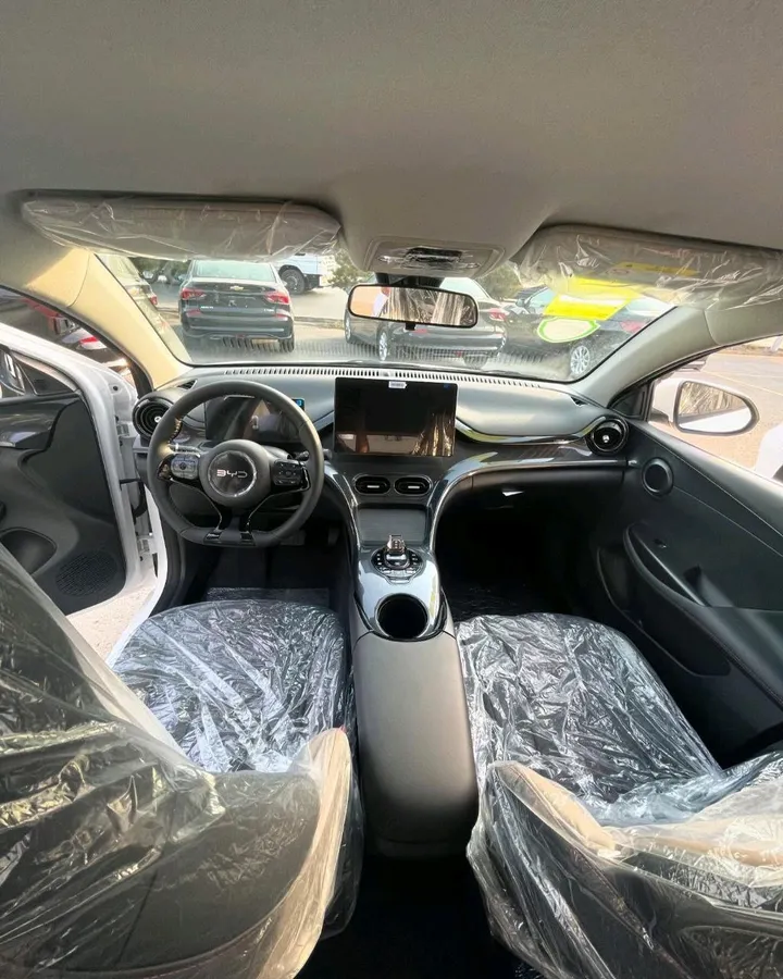BYD e2 2024 Electric Automatic – photo 3