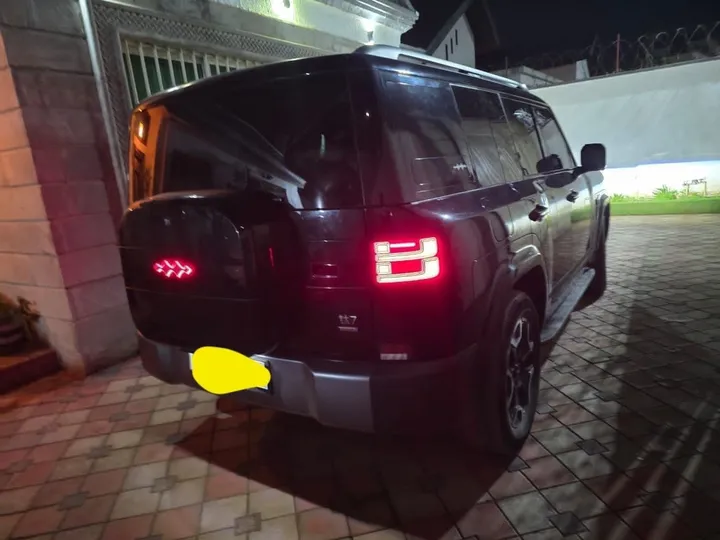 BYD Leopard 7 Plugin Hybrid 4WD – photo 4