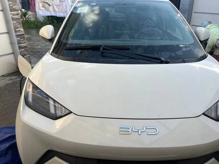 2025 BYD Electric Hatchback – photo 4