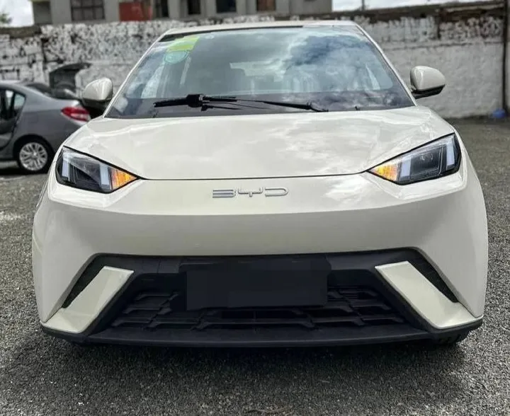 BYD Seagulls Electric 2025 – photo 6