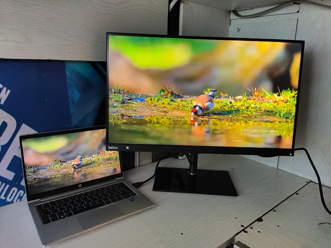 Lenovo ThinkVision 27 Inch Monitor – photo 4