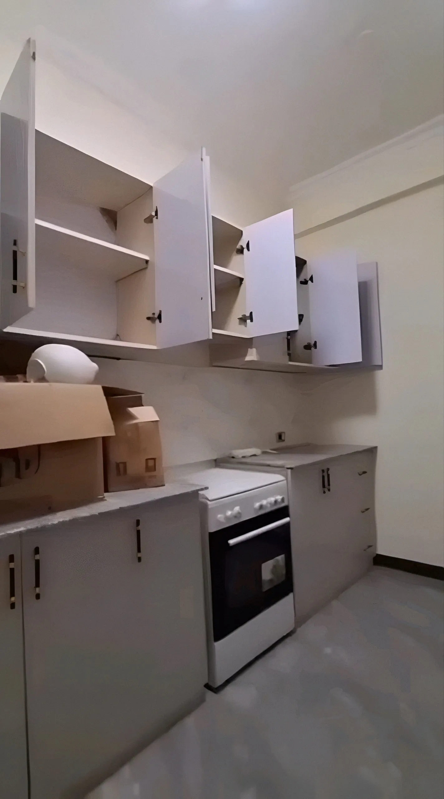 1 Bedroom Apartment in Olympia – photo 4