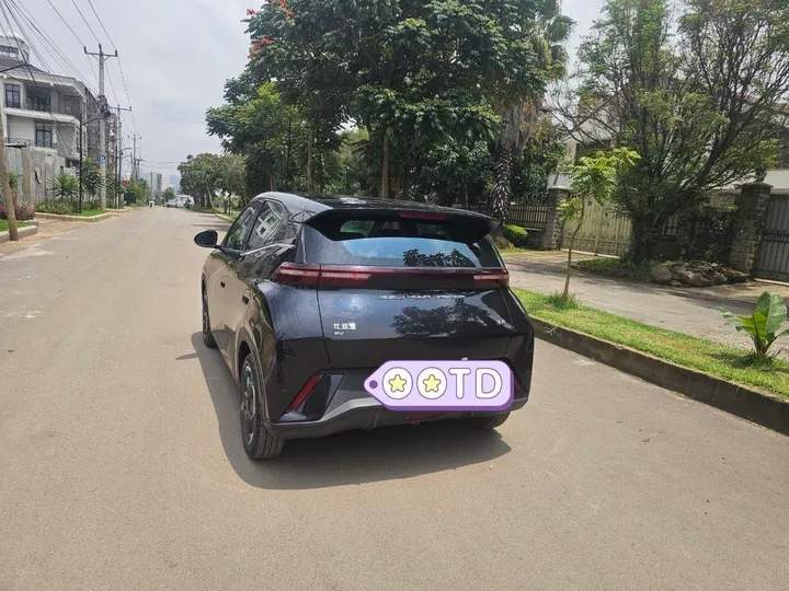 BYD Seagull 2024 Electric Compact SUV – photo 3