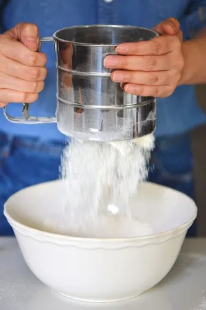 Stainless Steel Flour Sifter