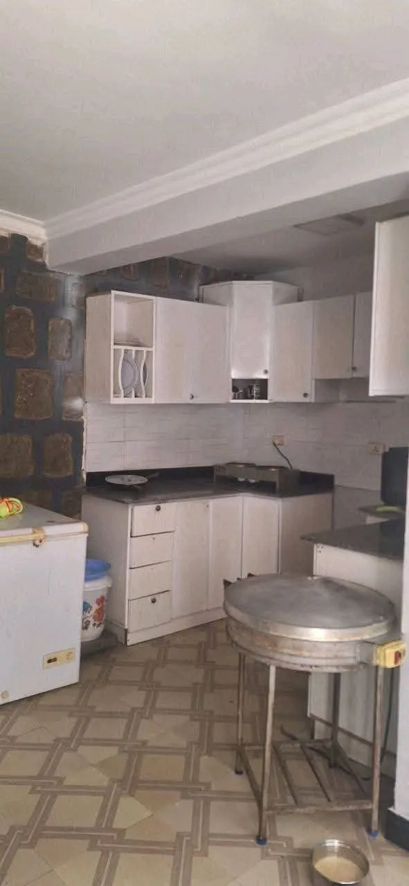 Modern Villa House with Basement – photo 5
