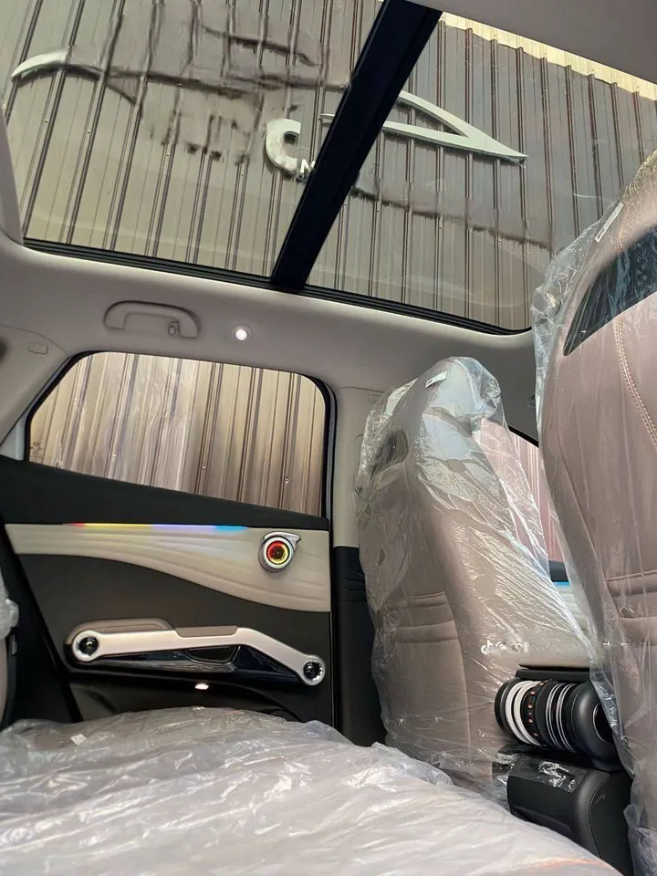 Jelly 2012 Manual Car – photo 5