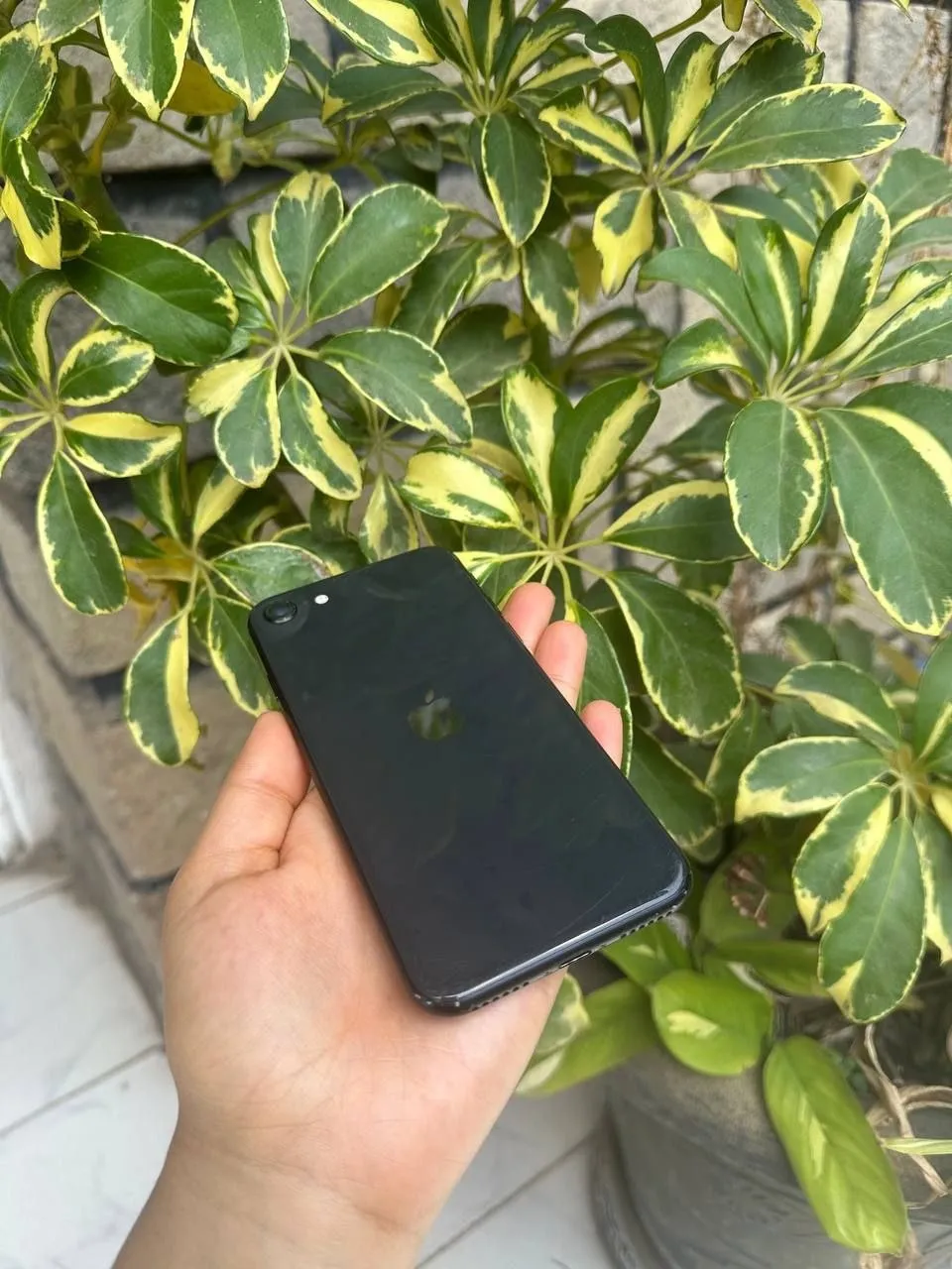 Apple iPhone SE 256GB – photo 3