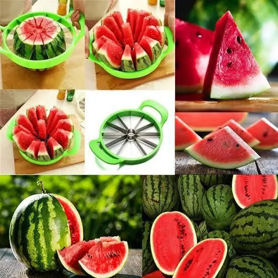 Stainless Steel Watermelon Cutter – photo 5