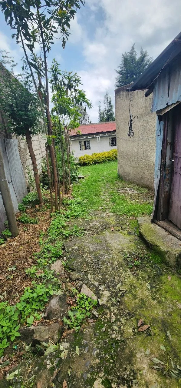 300 sqm Residential Land CMC – photo 5