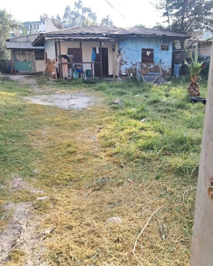 464 Sqm Plot for Sale Megenagna – photo 4