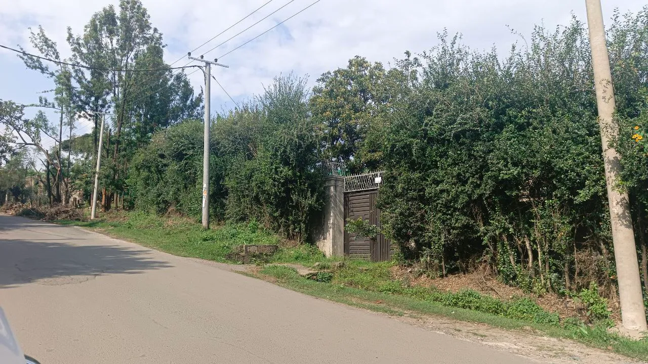 490 sqm Land for Sale Bisrate Gabriel – photo 3
