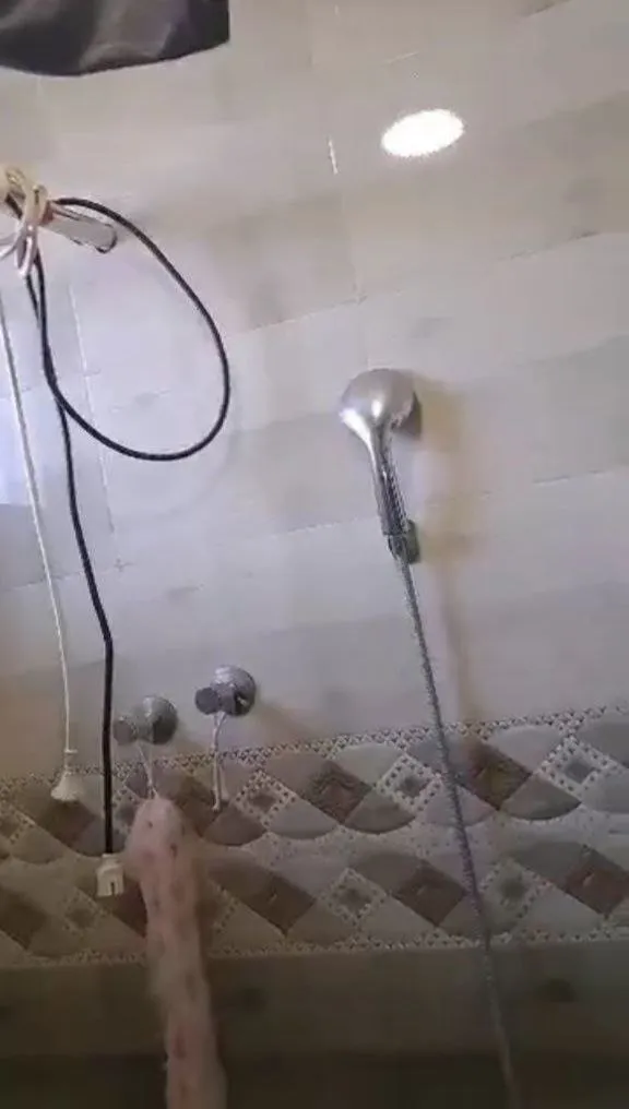 2 Bedroom Condo in Bole Arabsa – photo 5