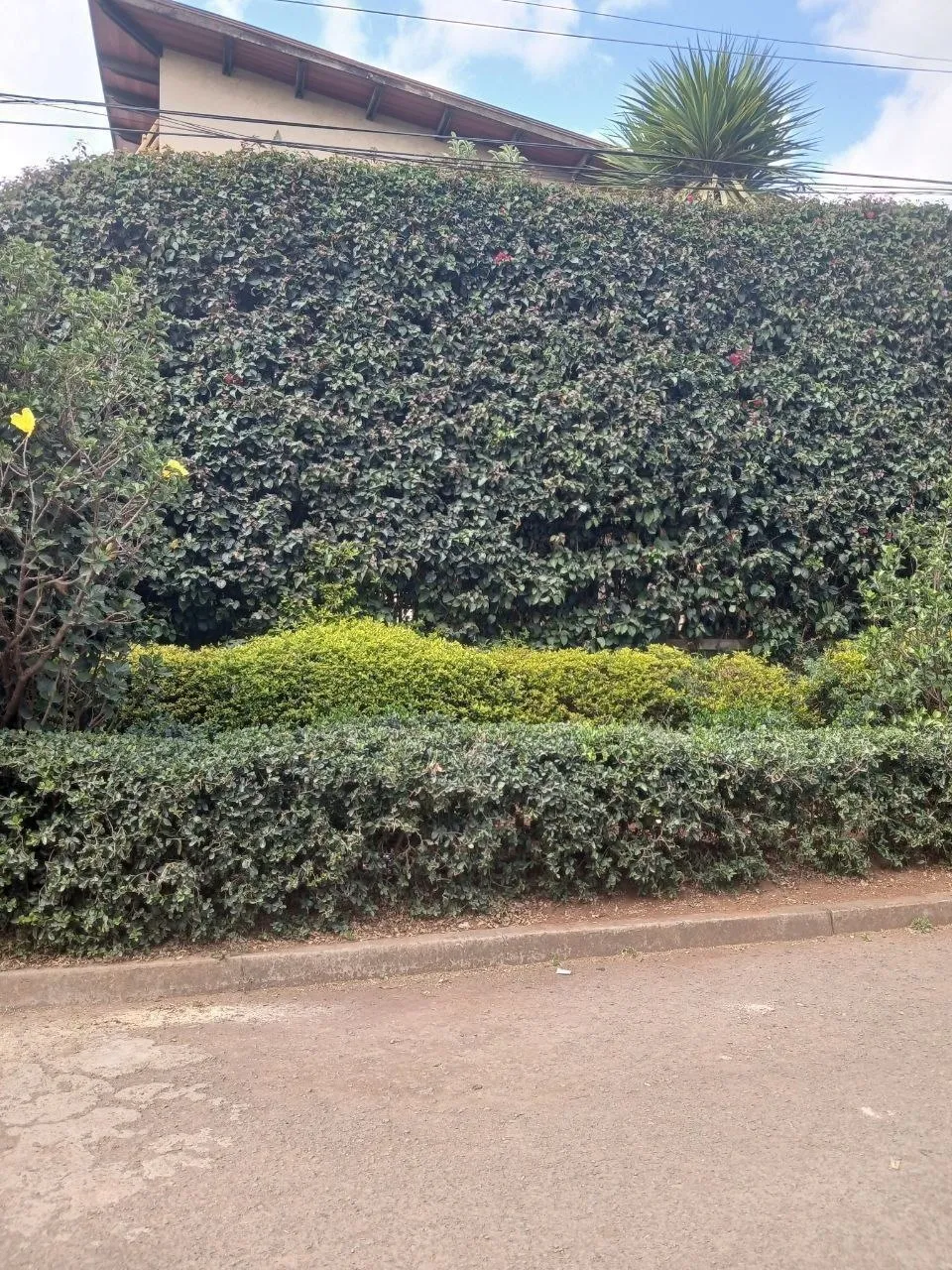 G+1 House for Sale in Ayat – photo 7