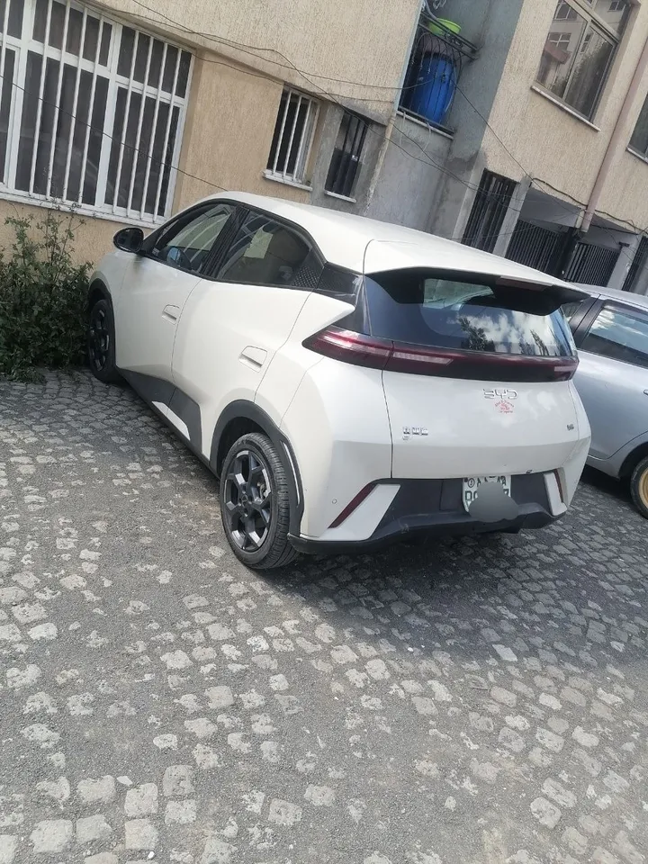 BYD Seagull 2024 Automatic – photo 3