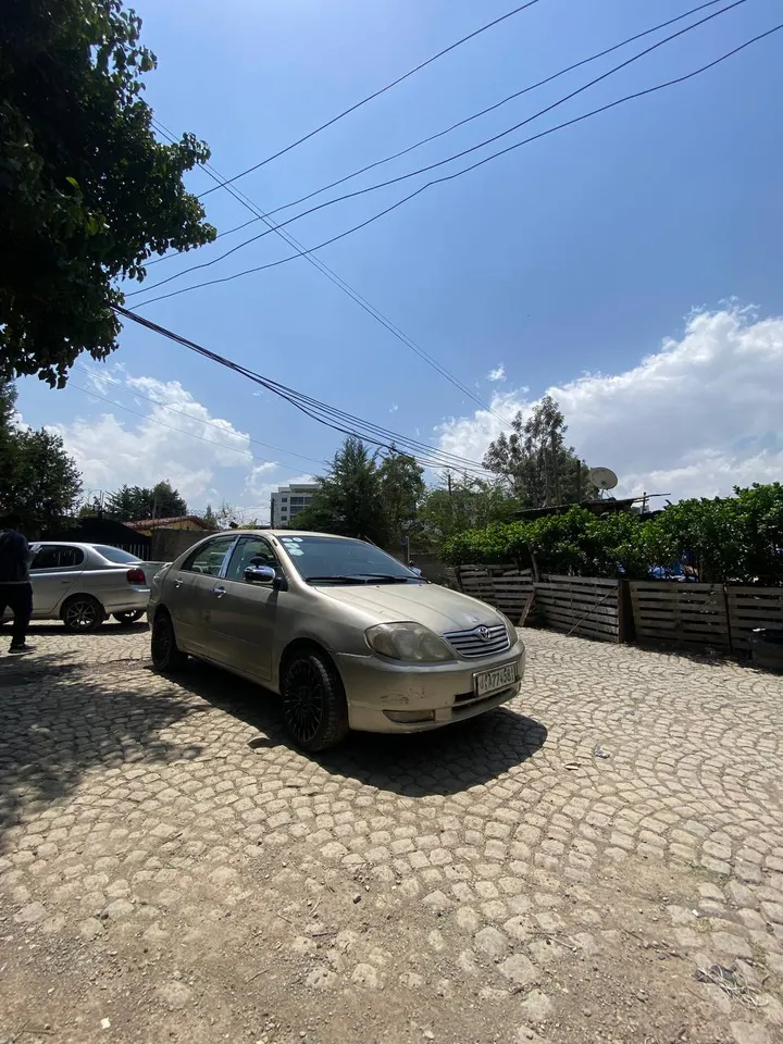 Toyota Corolla 2003 Automatic Petrol – photo 4