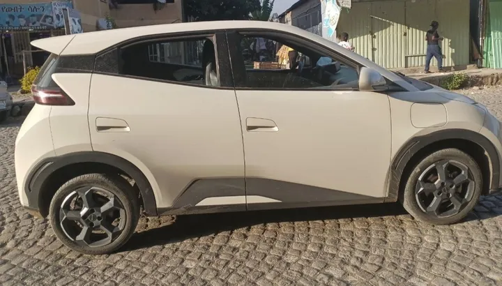 BYD Seagull 2024 Premium Electric – photo 3
