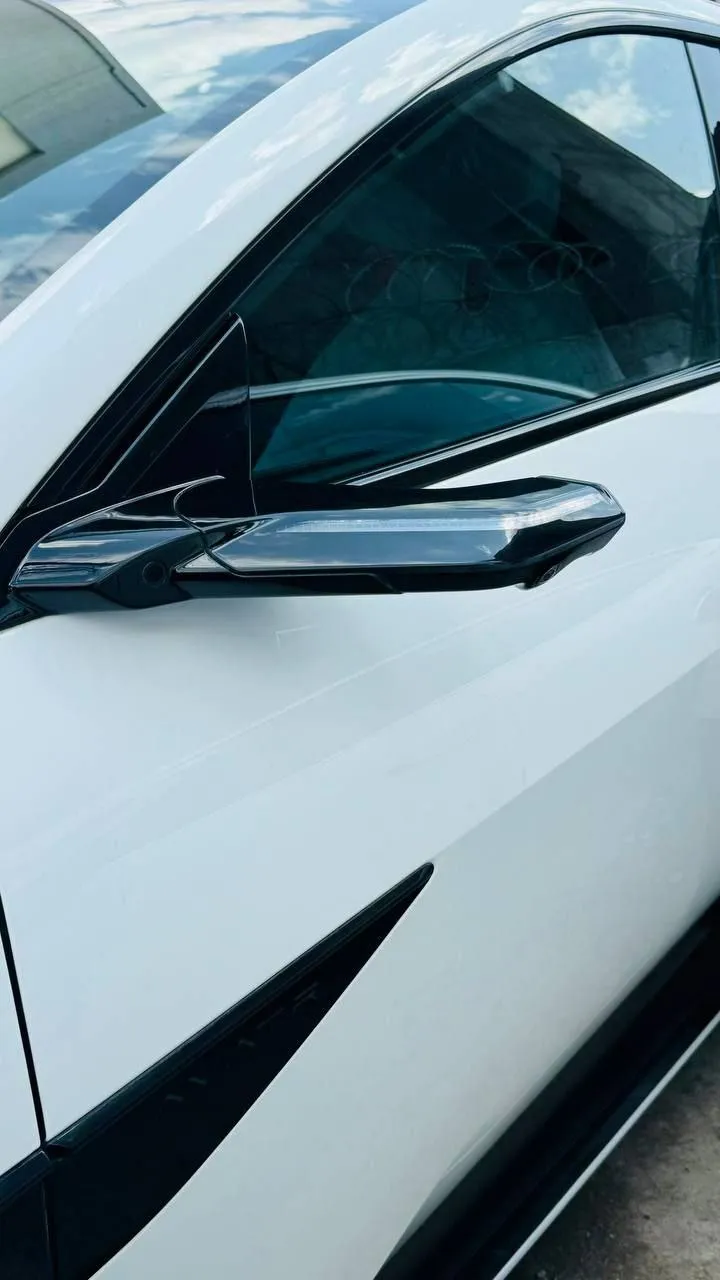 2025 Avatar 12 EV AWD – photo 8