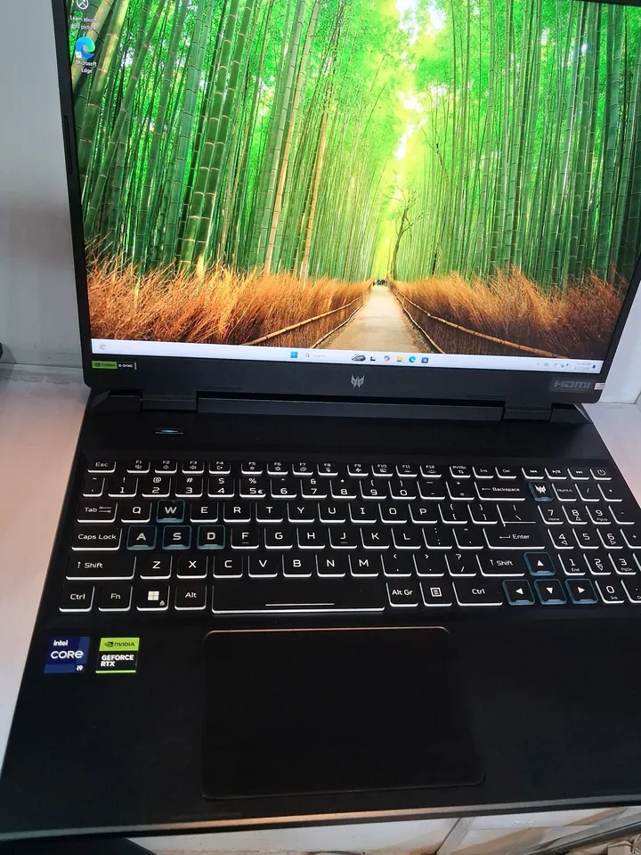 Acer Predator Helios 300 Gaming Laptop – photo 3