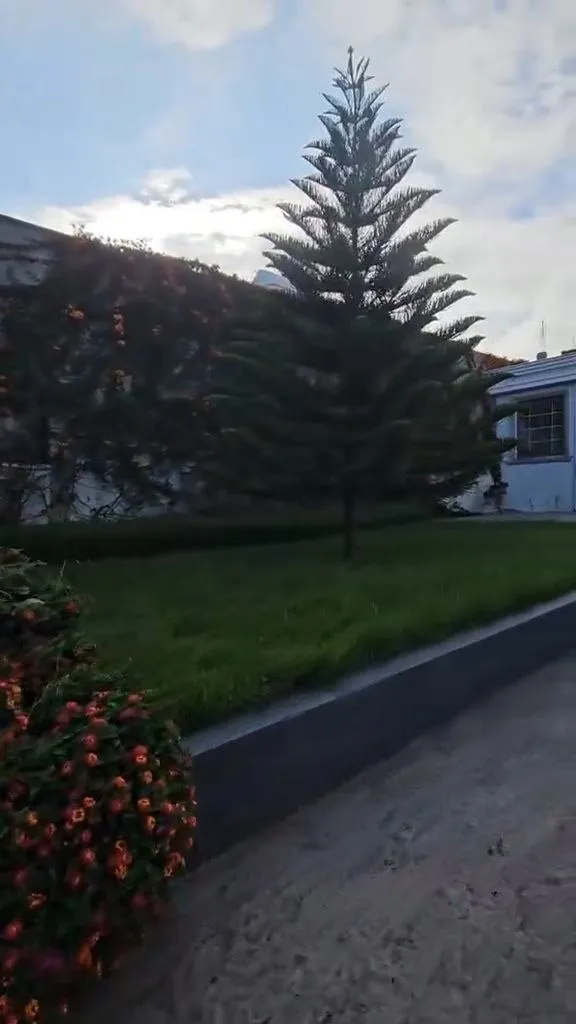 Modern L-Shape House in Summit – photo 3