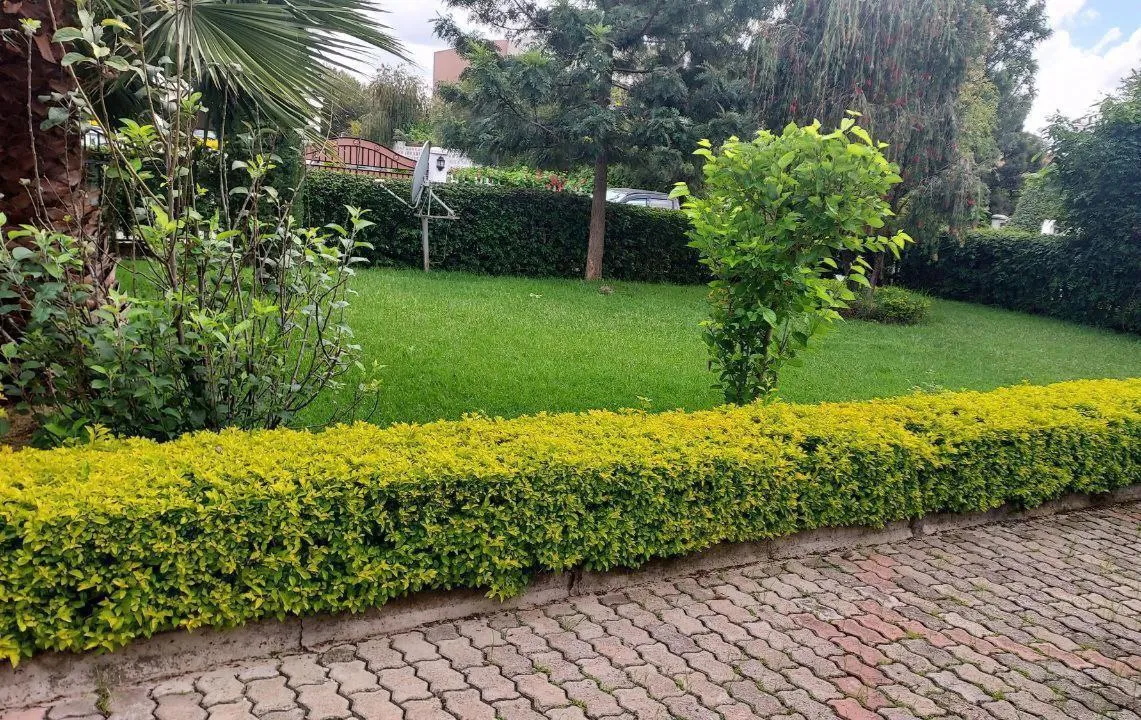 G+1 Villa House 1000 sqm – photo 4