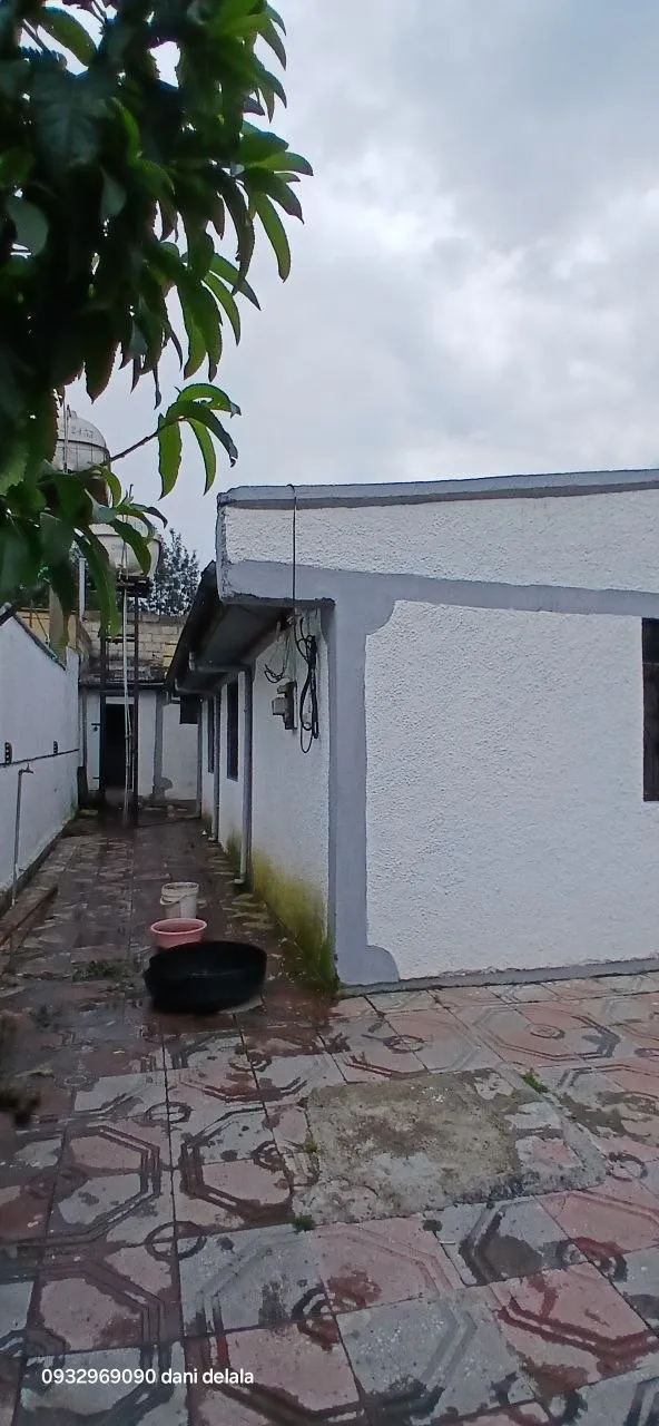 የሚሸጥ 260 ካሬ ቤት – photo 6