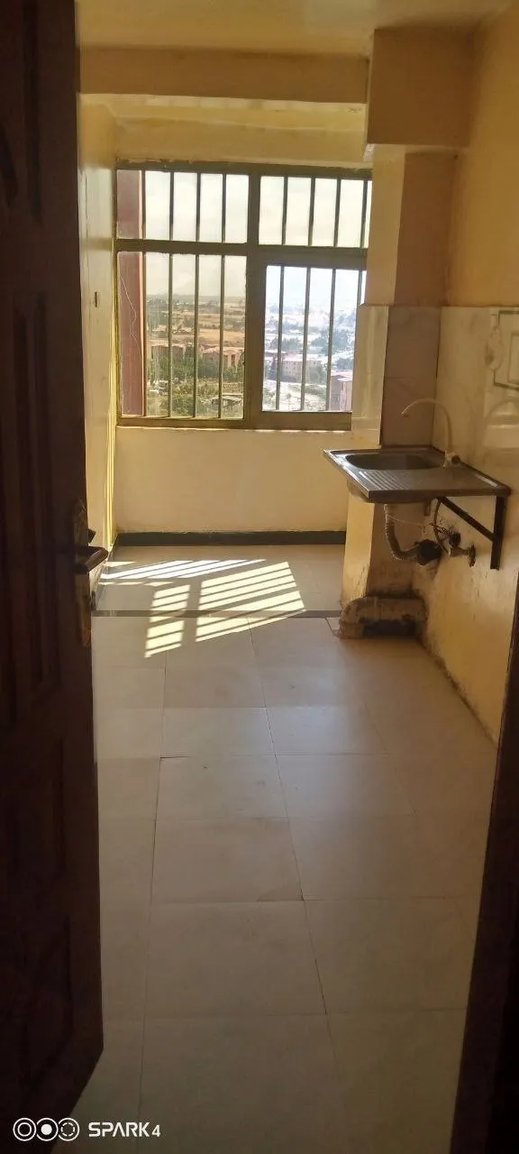 3 Bedroom 20/80 Condo Bole Arabsa – photo 5