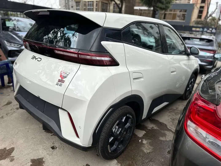 BYD Seagull 2025 Electric – photo 6