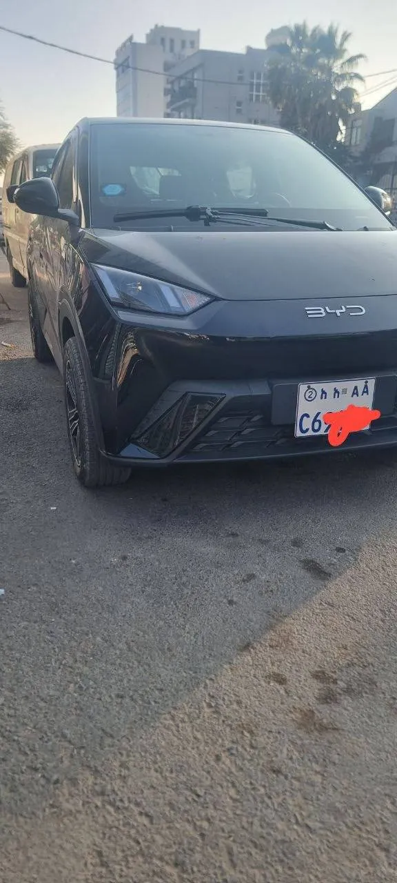 BYD Seagull Flying Electric 2024 – photo 4