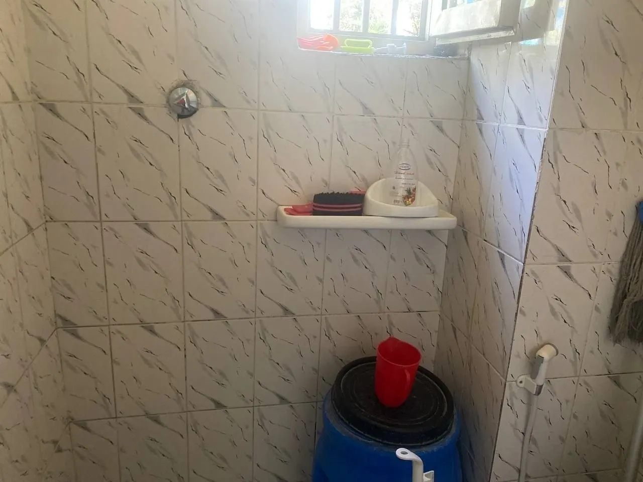 1 Bedroom Condo in Mexico Lideta – photo 5